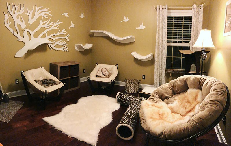 How to decorate a cat room