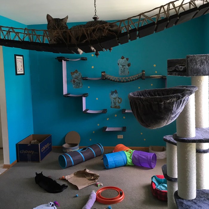 How to decorate a cat room