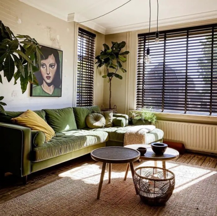 How to decorate your living room with plants