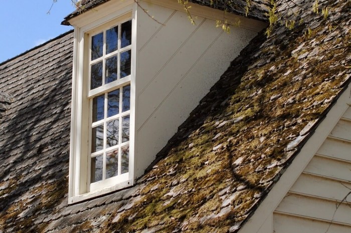 Dormer window dormers jumped gable attic bungalow