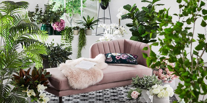 How to decorate your living room with plants