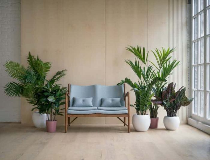 Room living plant decor indoor decorate boho plants modern bench beautiful ways shelves items hint